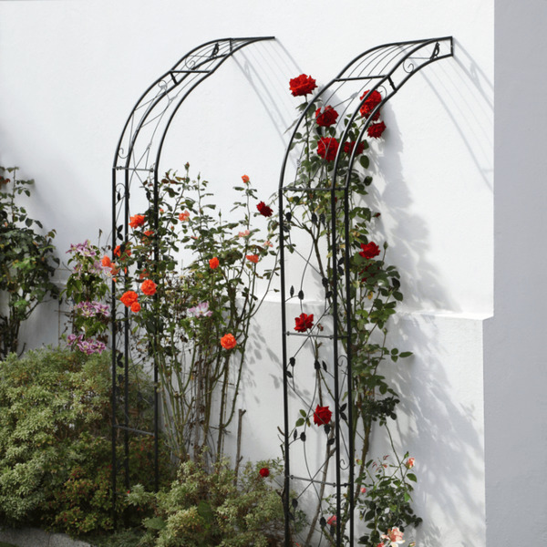 Bild 4 von BELAVI Rosenbogen