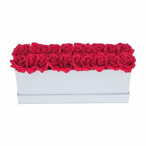 Gestecke »Weiße Rosenbox lang mit 20 Rosen«, relaxdays, Höhe 19 cm, Rot
