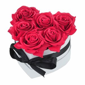 Gestecke »Weiße Rosenbox mit 6 Rosen«, relaxdays, Höhe 12 cm, Rot