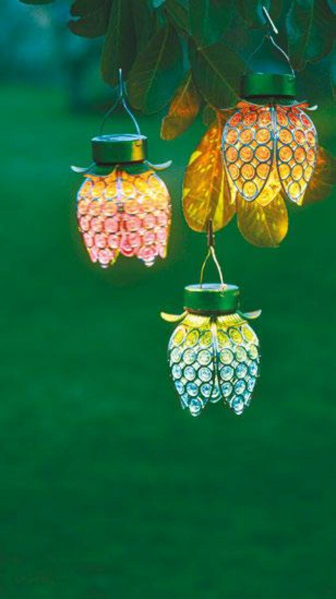 Bild 1 von GARDEN DREAM Solar-Blume