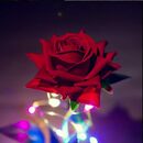 Bild 4 von Kunstblumenstrauß »Glasrosen mit LED-Leuchten, Rosen-Geschenksets, ewige Rosen«, FeelGlad