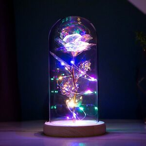 Kunstblume »Ewige Rose im Glas Glaskuppelrose mit LED-Licht«, Housruse
