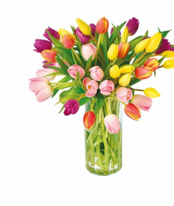 Bild 1 von Tulpen