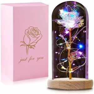 Kunstblume »Ewige Rose im Glas, Die Schöne und das Biest Rose in Glaskuppel mit LED-Lichter Künstliche Blumen Rose, Geschenke für Geburtstag Mama Freundin Weihnachten Muttertag«, Fortunesn