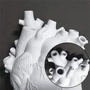 Bild 3 von Housruse Dekovase »Herz Vase, Kreative Anatomisch Herzförmige Blumentopf Desktop Ornament« (1 herzförmige Vase)