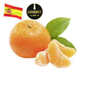 Spanien Gourmet HIT Mandarinen