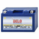 Bild 1 von DELO Gel Batterie, befüllt Delo