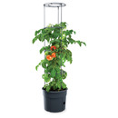 Bild 1 von Powertec Garden Tomatenturm - ca. 12 Liter, inkl. Rankhilfe