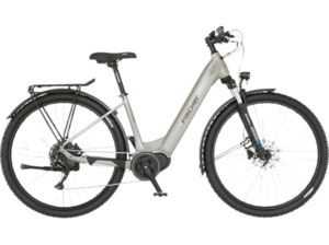 FISCHER Terra 4.0I All Terrain Bike (ATB) (Laufradgröße: 29 Zoll, Rahmenhöhe: 43 cm, Unisex-Rad, 630 Wh, Greige)