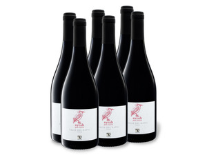 6 x 0,75-l-Flasche Weinpaket VIAJERO Syrah Gran Reserva Valle del Rapel Chile trocken, Rotwein