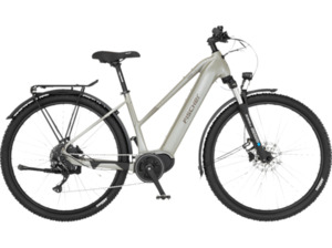 FISCHER Terra 4.0I All Terrain Bike (ATB) (Laufradgröße: 29 Zoll, Rahmenhöhe: 45 cm, Unisex-Rad, 630 Wh, Greige)