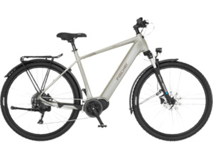 FISCHER Terra 4.0I All Terrain Bike (ATB) (Laufradgröße: 29 Zoll, Rahmenhöhe: 55 cm, Unisex-Rad, 630 Wh, Greige)