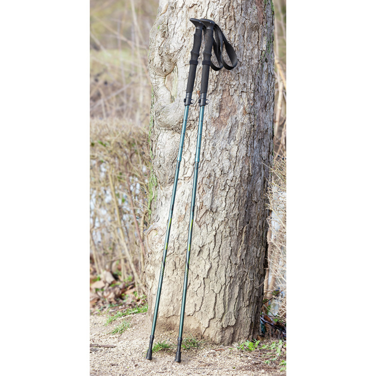 Bild 1 von Topfit Faltbare Wanderstöcke
