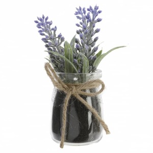 Lavendel in Glas - ca. 5 x 5 x 15 cm