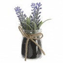 Bild 1 von Lavendel in Glas - ca. 5 x 5 x 15 cm