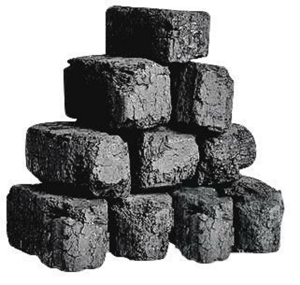 Bild 1 von Torfbriketts 10 kg