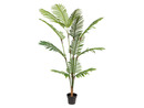 Bild 1 von LIVARNO home Kunstpflanze Palme, 190 cm