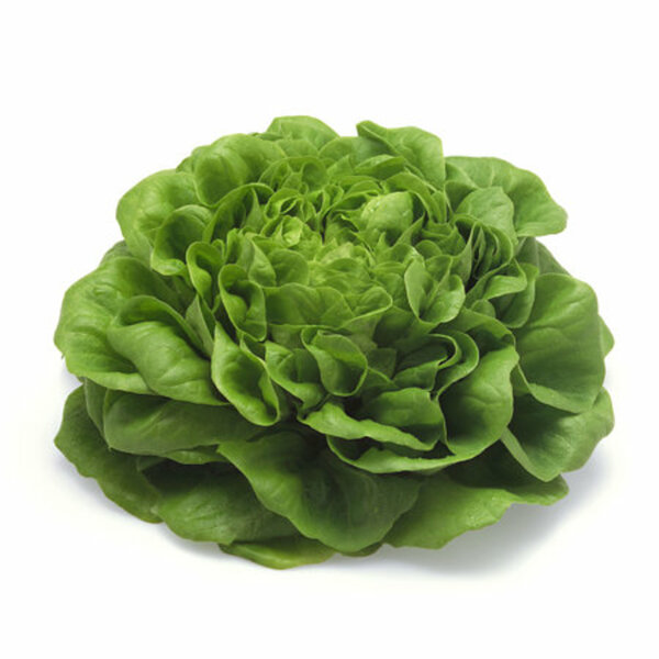 Bild 1 von Bio Salat Pflück-Salat