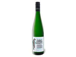 Grüner Veltliner Kamptal DAC trocken, Weißwein 2021