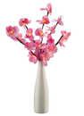 Bild 1 von LIV&BO® Deko-Vase mit LED-Leuchtzweig