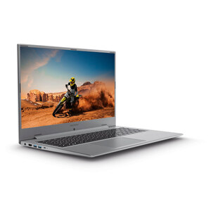 MEDION 
                                            17,3"-Notebook S17403 (MD64120)