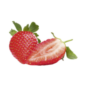 Spanien Erdbeeren