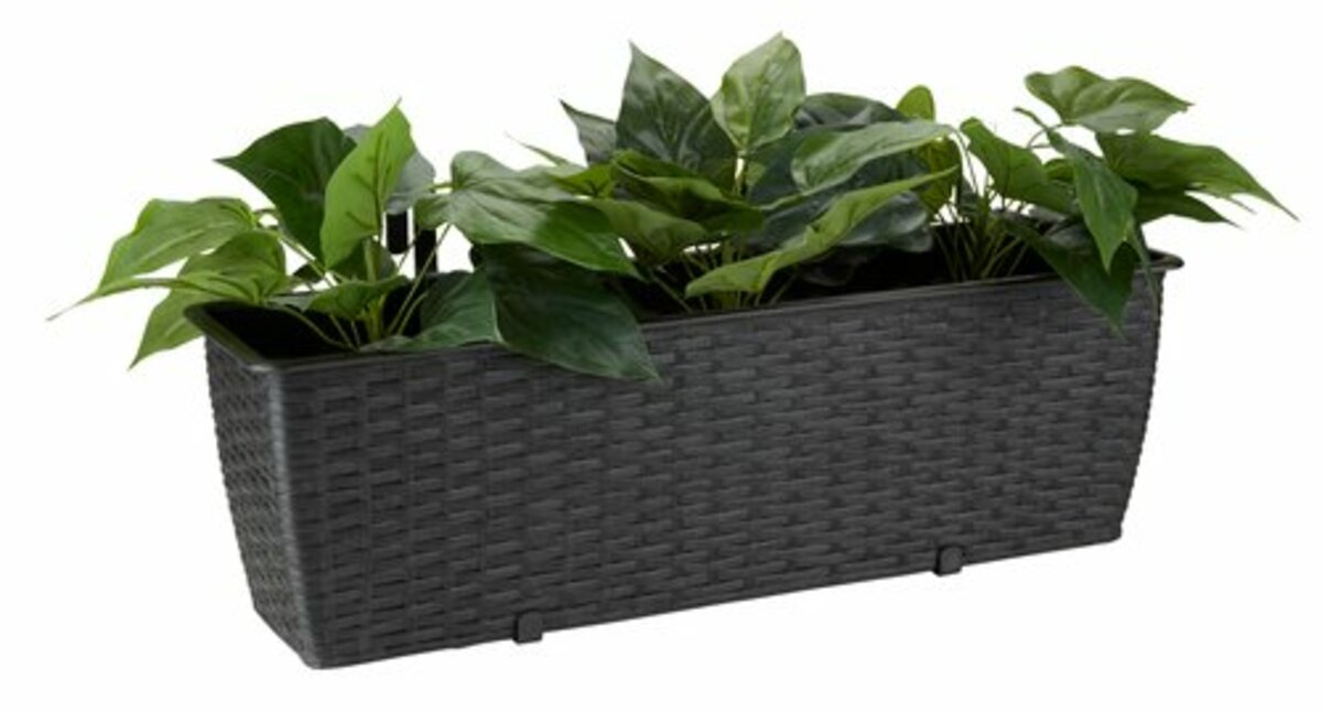 Bild 1 von Balkonkasten VIPE B18xL59xH18 schwarz