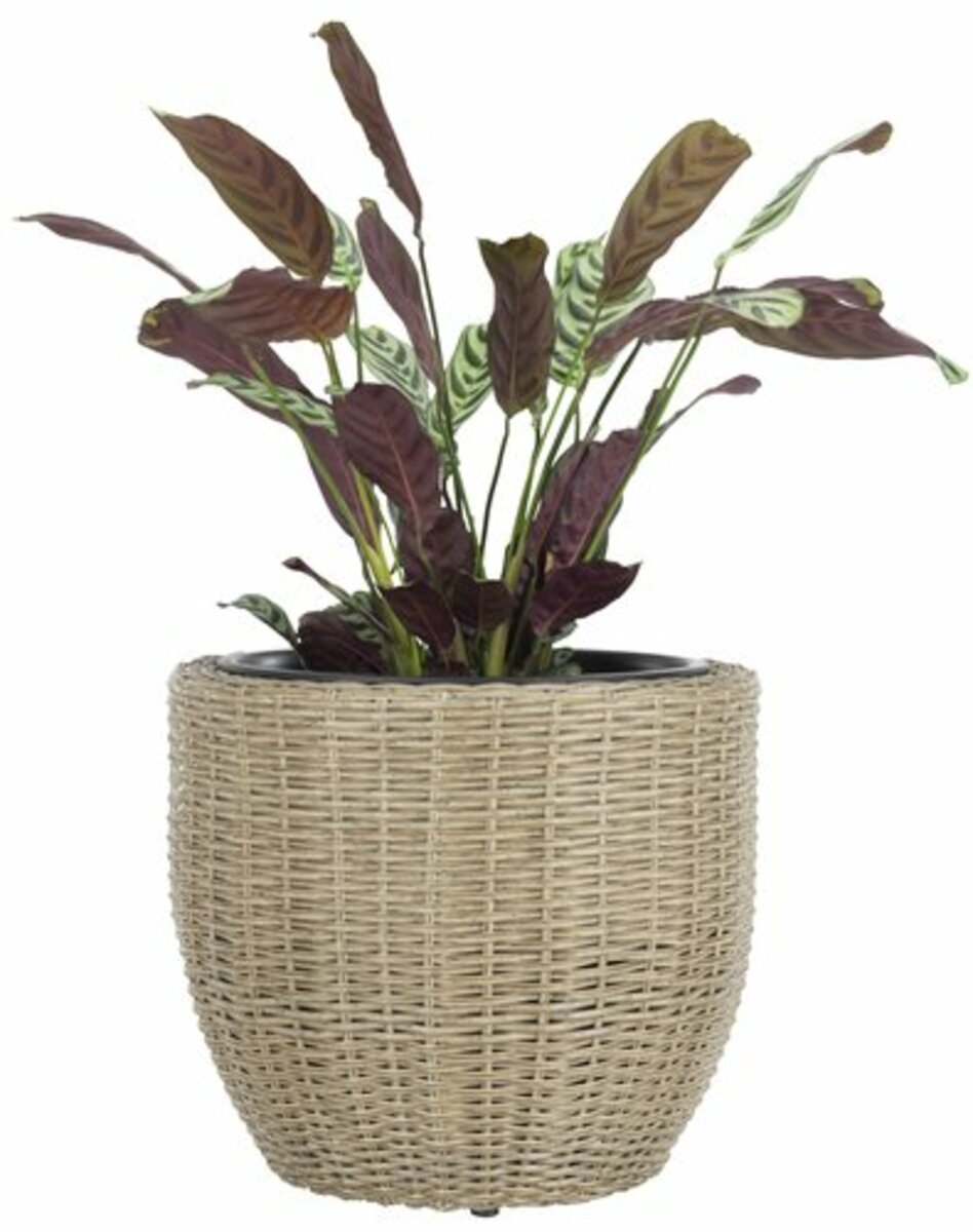 Bild 1 von Pflanzkübel SVARTBAK Ø42xH36 natur