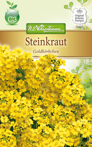 Alyssum saxatile Steinkraut, Goldköbchen