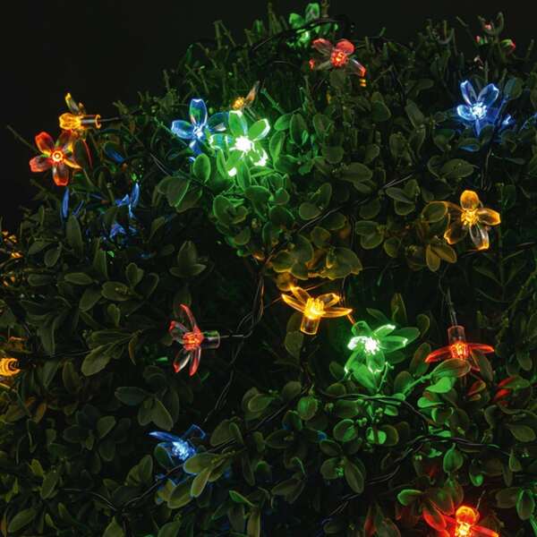 Bild 1 von Solar-Lichterkette mit Blumen, ca. 2m