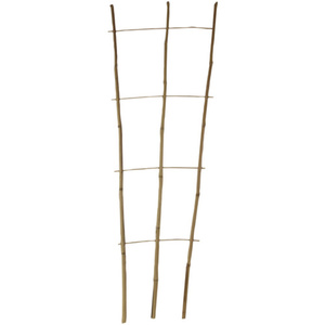 FLORAWORLD Pflanzengitter, bambus, Höhe: 110 cm