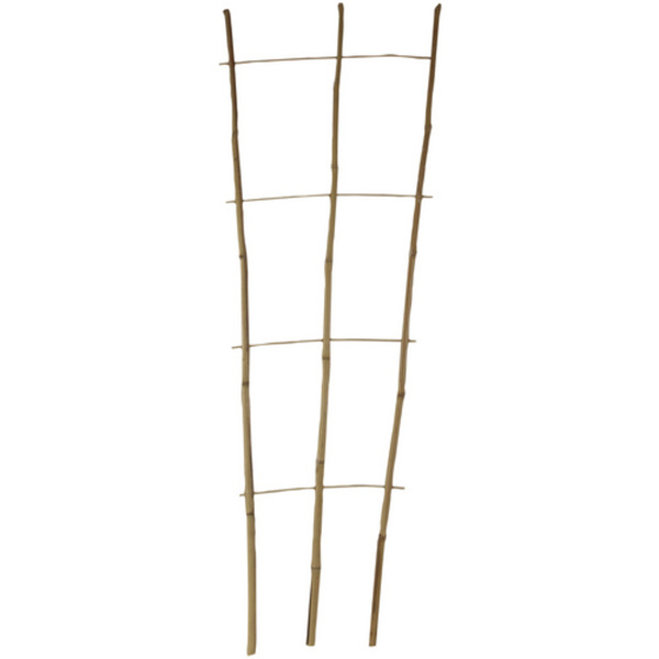 Bild 1 von FLORAWORLD Pflanzengitter, bambus, Höhe: 110 cm