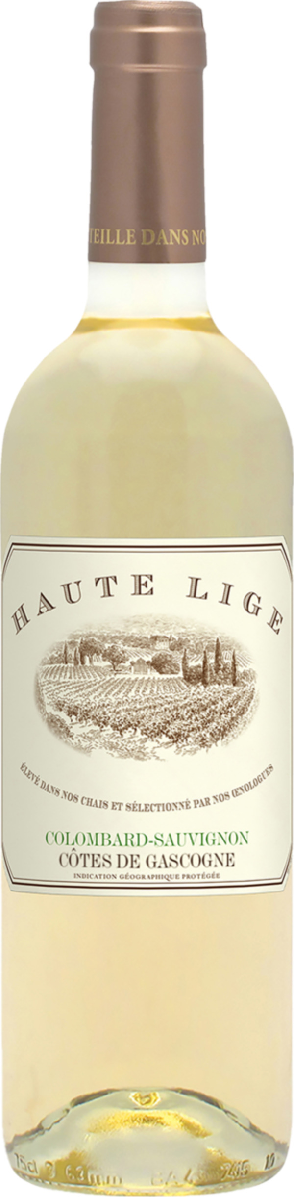 Bild 1 von Haute Lige HAUTE LIGE Colombard - Sauvignon Blanc