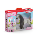 Bild 1 von Schleich 42584 Starter Set Sofia & Dusty