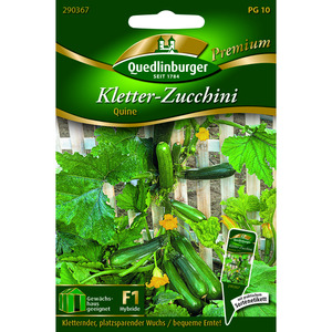 Quedlinburger Premium Kletter-Zucchini 'Quine'