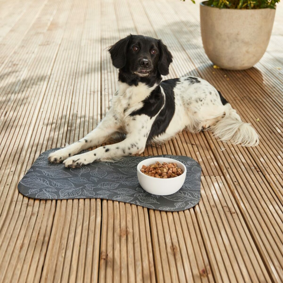 Bild 4 von CACHET & ROMEO Heimtier-Napfunterlage