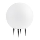 Bild 1 von TINT 
                                            Smarte LED-Outdoor-Leuchtkugel Calluna Solar ⦰25 cm, white+color