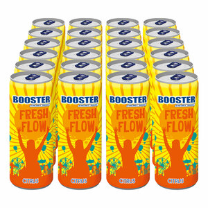 Booster Energy Drink Citrus 0,33 Liter Dose, 24er Pack