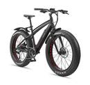 Bild 1 von Alu MTB Aufsteiger FM350 Fat Hardtail 26 Hinterrad-DirectDrive Motor, 8 Gang, 36V 13AH Akku semiintegriert