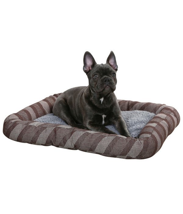 Bild 1 von KERBL Pet Hundebett Pablo, grau, ca. B120/H10/T80 cm