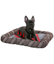 Bild 3 von KERBL Pet Hundebett Pablo, grau, ca. B120/H10/T80 cm