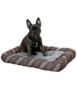 Bild 2 von KERBL Pet Hundebett Pablo, grau, ca. B120/H10/T80 cm