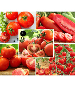 Gemüseset Tomatengenuss, 6-teilig