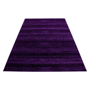 AYYILDIZ Teppich PLUS lila B/L: ca. 80x150 cm