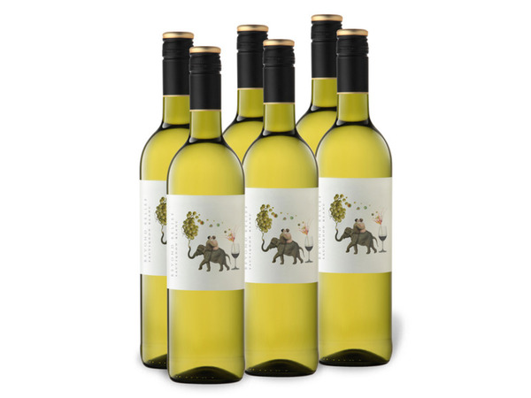 6 x 0,75-l-Flasche Beyond Lidl trocken, Weißwein von Blanc ansehen! Belief Sauvignon Western Cape