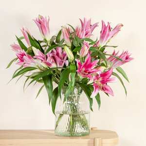 Lilien in Rosa 10 Stiele mit Lieblings-Vase L