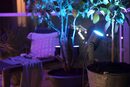 Bild 3 von Philips Hue LED Gartenstrahler Ambiance, Dimmfunktion, LED fest integriert, RGB, Basisset mit Netzteil + Einzelspot + Hue Bridge