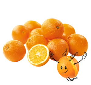 NATURGUT Bio-Orangen