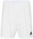 Bild 2 von adidas Shorts