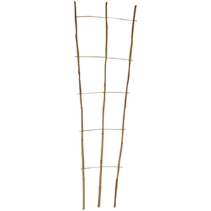 FLORAWORLD Pflanzengitter, bambus, Höhe: 160 cm